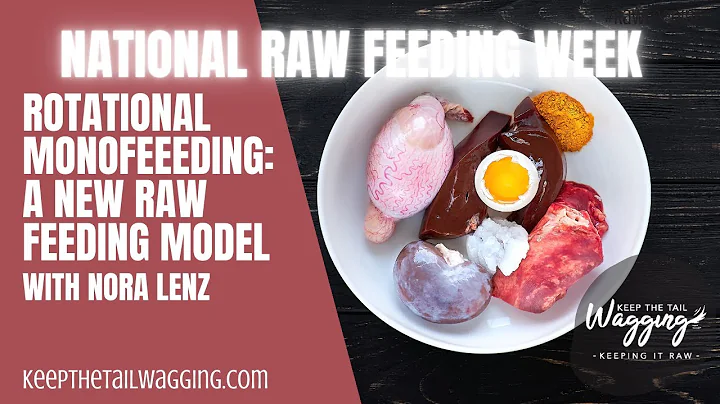 Rotational MonoFeeding, a New Raw Feeding Model (RMF), with Nora Lenz #NRFW2022