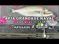 Fishing Rod Review: APIA GRANDAGE NAVAL SeaFarer S76M - YouTube