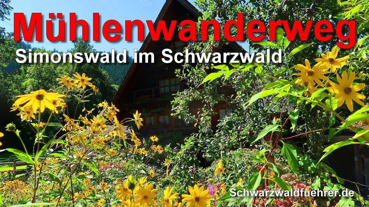 Mühlenwanderweg in Simonswald im Schwarzwald
