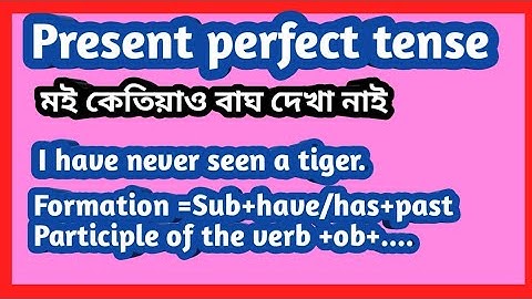 present perfect tense in assamese //tense present perfect tense //present perfect tense assamese //