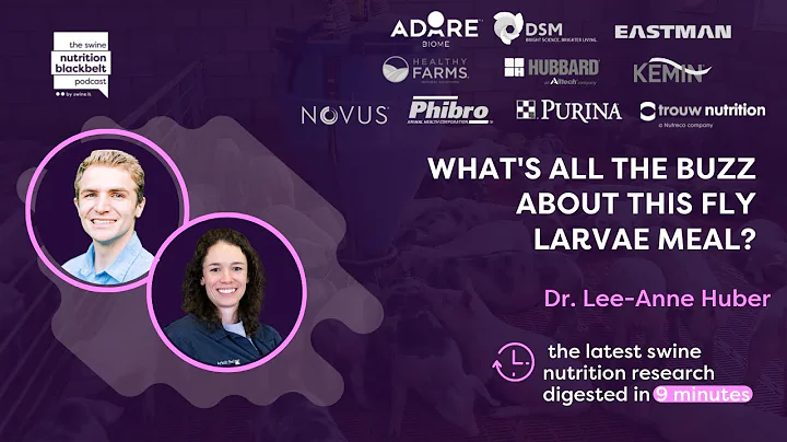 #31 - Dr. Lee-Anne Huber: What's all the buzz abou...