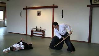 Aikido - Taekwondo Path Of Martial Arts