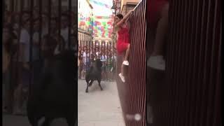 Capture the moment how the bull retaliated #cameracaught  #cctvviral #bull #bullshit