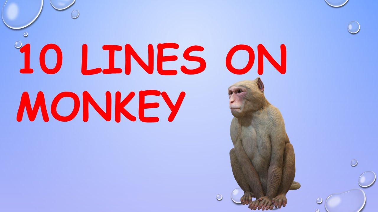 10 lines on Monkey | Essay On Monkey 10 lines | Monkey 10 lines | Monkey Essay in English |