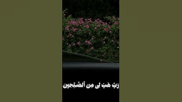 آستغفر الله🤍 . قران كريم القارئ ناصر القطامي سورة الصافات Quran