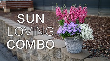 Sun Loving Combination
