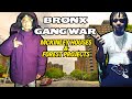 Bronx gang war   a forest  mckinley projects story