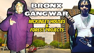 Bronx Gang War -  A Forest & Mckinley Projects Story