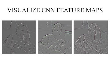 Visualize Convolutional Neural Network Feature Maps