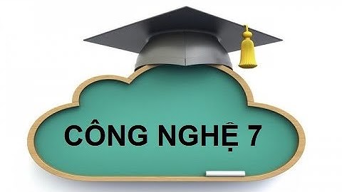 Công nghệ 7 | Chăm sóc rừng sau khi trồng