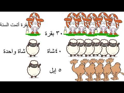 زكاة الأنعام