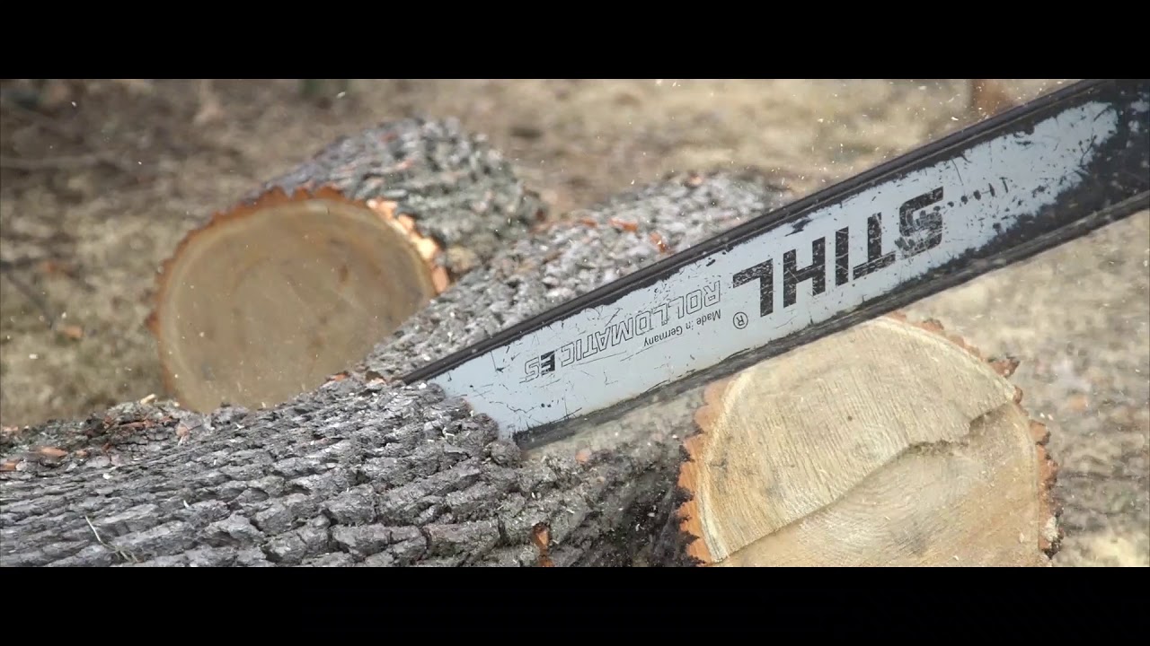 The Best Tree Care Team in Town: All the Above Tree Service