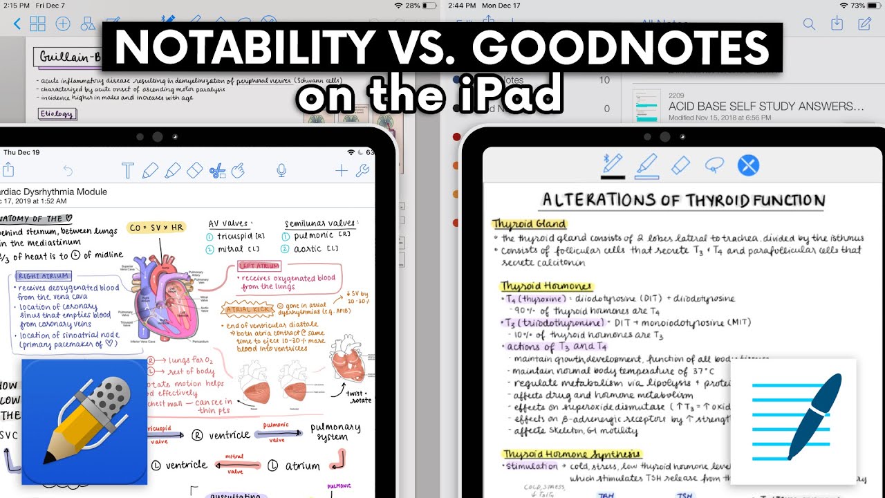 NOTABILITY VS. GOODNOTES ON THE IPAD 🏻 - YouTube