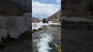 Living in Paradise | Crystal Clear Creek Surrounded by Snowy Mountains