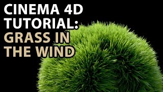 Cinema 4D Tutorial: Grass in the Wind Tutorial