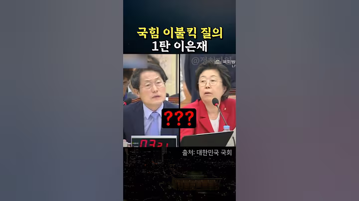 국힘 이불킥 질의 1탄, 이은재 전 의원 #정치