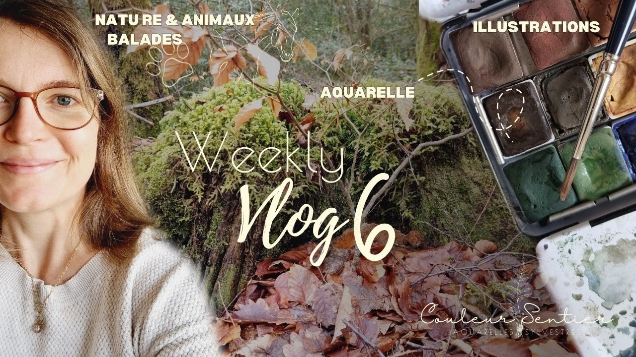 Vlog6 : Avancer pas à pas à l'atelier