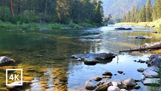 4K Blackfoot River Sunrise | Montana River Sounds for Deep Sleep, Relaxation & Focus | White Noise