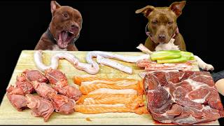 クセになるASMR!!ピットブルが豪快に骨を噛み砕く咀嚼音がやばすぎる