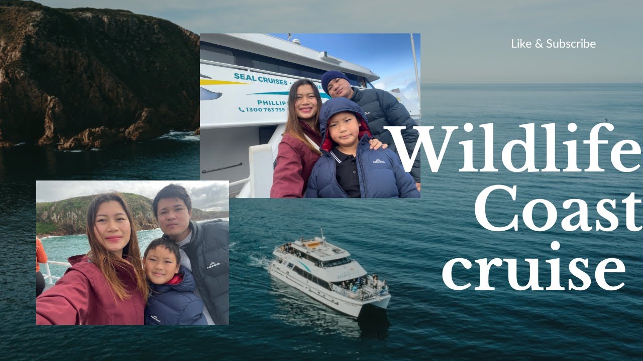 Phillip Island 🏝️ Wildlife Coast Cruise familyvlog YouTube
