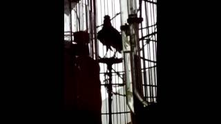 VID 20140529 075144