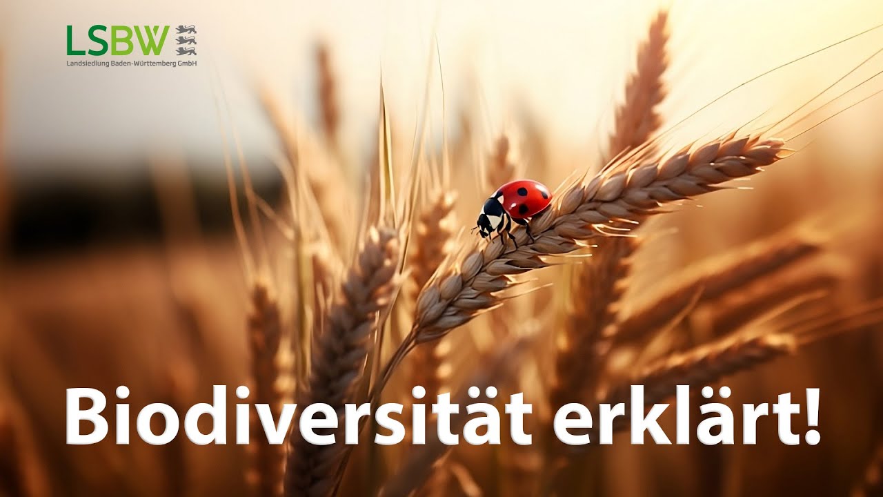 Die Bedeutung der Biodiversität in der Agrarlandschaft: Maßnahmen und Schutz im Ackerbau