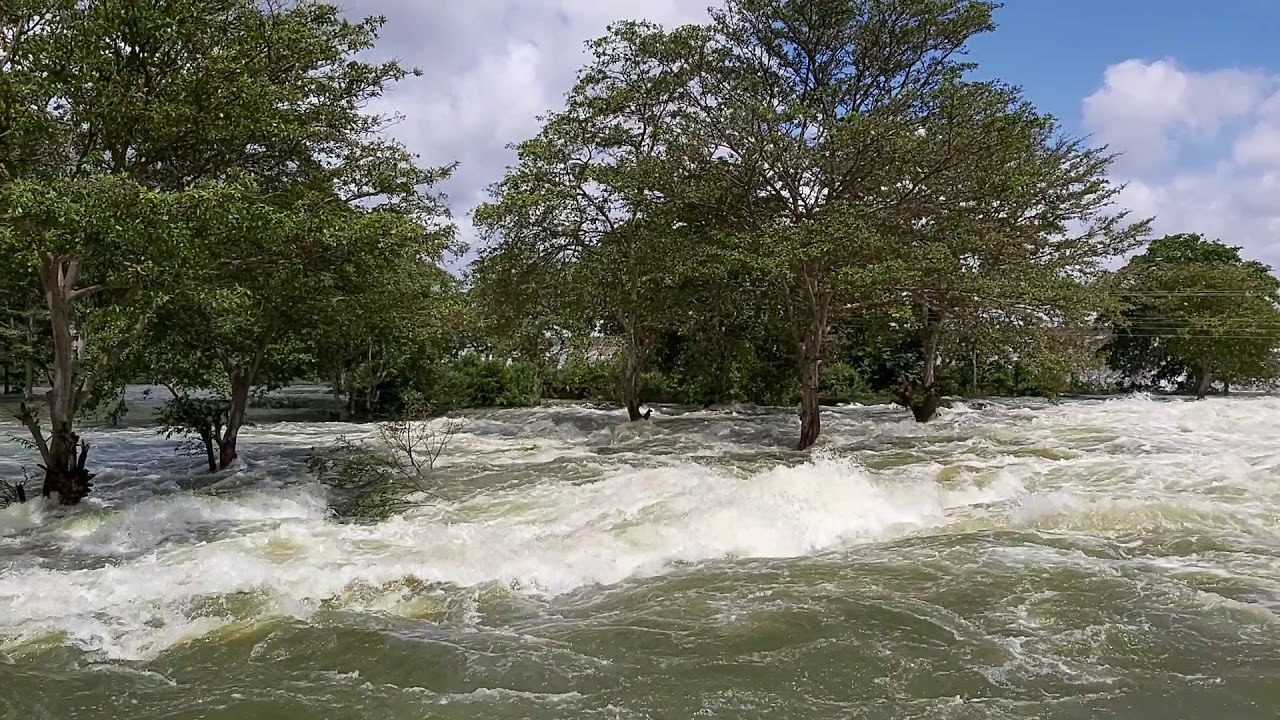 Kalawewa Offlowing (කළාවැව වාන් දැමීම) - 2019