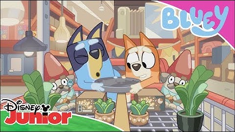 💙 Wojny zakupowe! | Blue | Disney Junior Polska