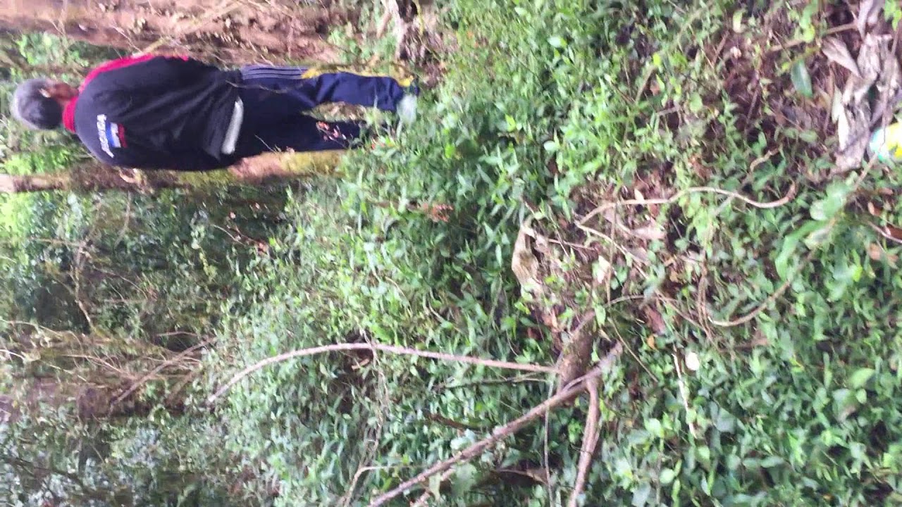 Perjalanan mencari kitab suci2