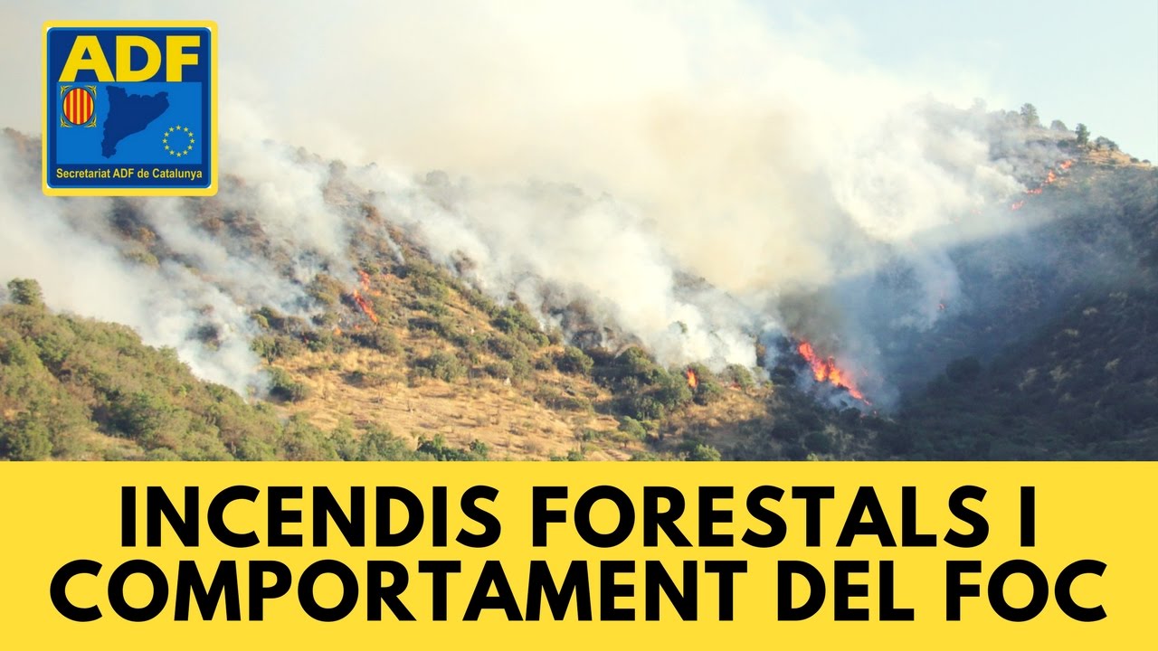 Webinar "Incendis Forestals i Comportament del Foc"