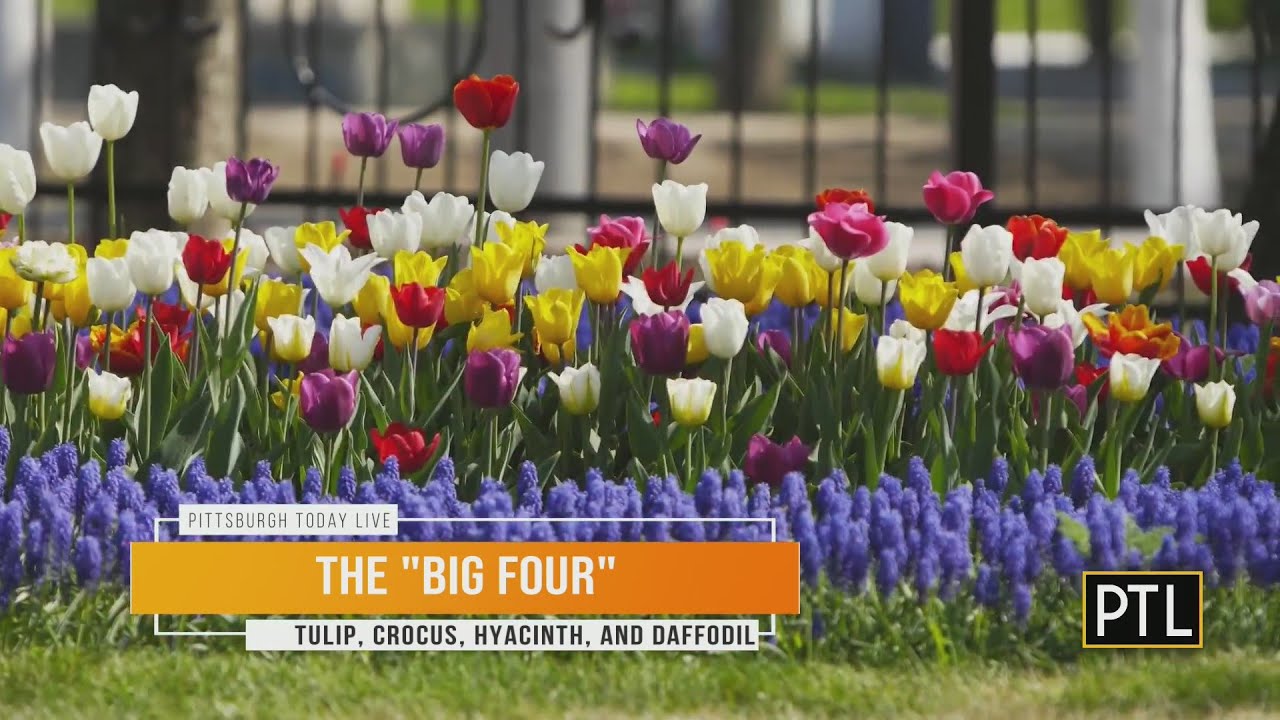 Doug Oster s Fall Garden Tips Are Really Preparation For Springtime doug-oster-s-fall-garden-tips-are-really-preparation-for-springtime