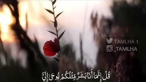 سورة الكهف (110)