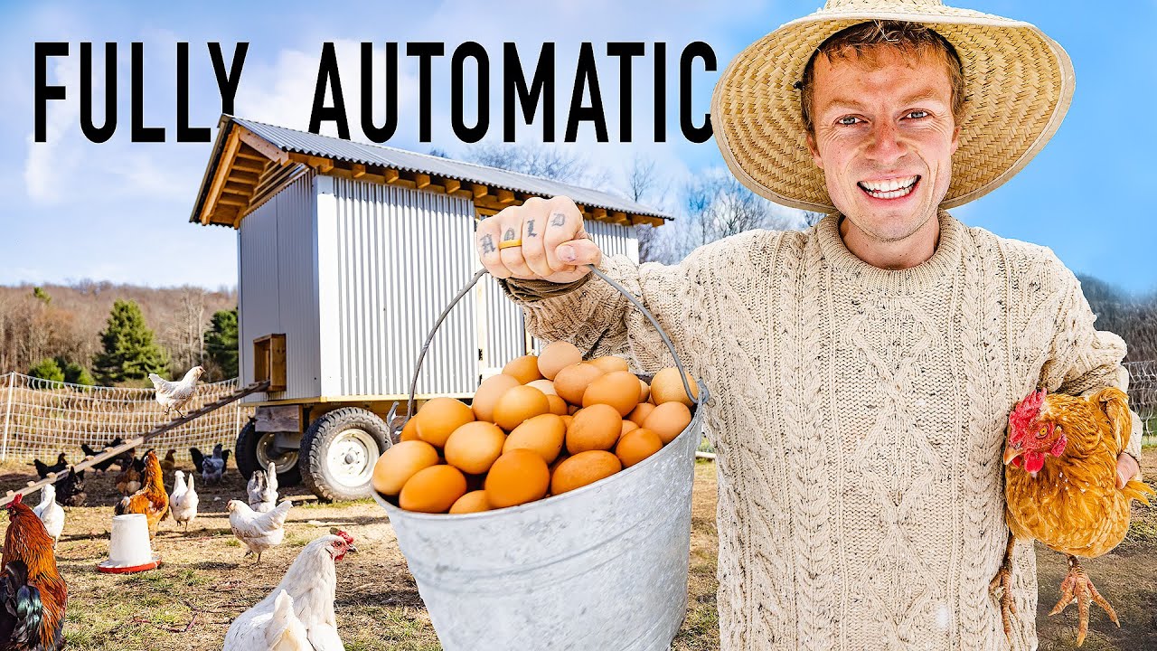We Built A Fully Automatic Chicken Coop - self feed!