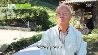 생방송 투데이 131015 #11(6)