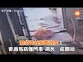 【熱片回顧】整袋青蛙集體逃家！會過馬路懂閃車 網笑：超團結｜青蛙｜離家出走｜搞笑｜馬路｜動物