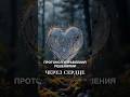 Протокол управления решениями через сердце #голоссвета