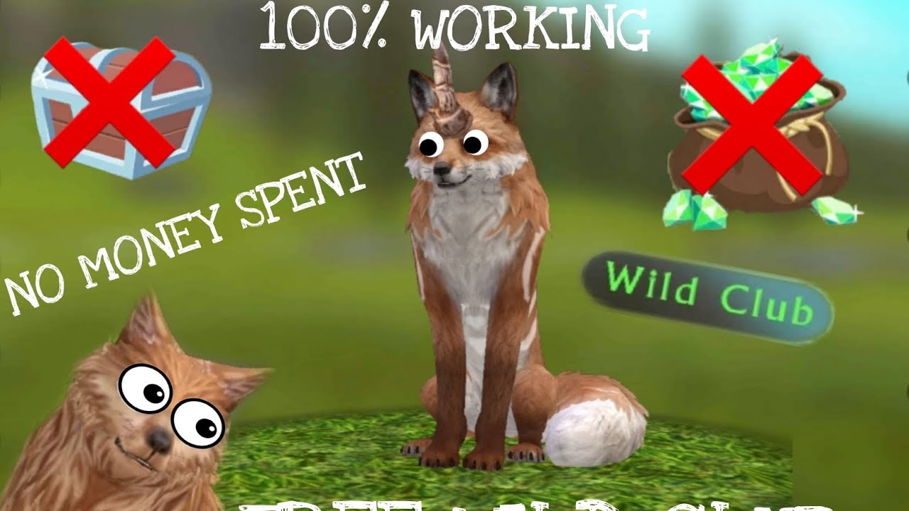 FREE WILD CLUB || No money spent, working glitch in 2023!!||