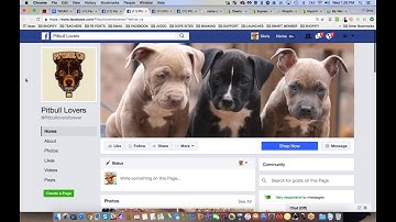 Building4YourSuccess: Setting up a Facebook Fan Page for your Shopify Store to Run Facebook Ads