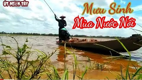 Chống Xuồng Lên Bờ Đê Đặt Lợp Ếch Mùa Nước Nổi//Út Miền Tây