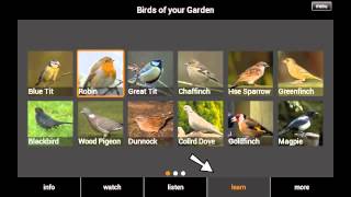 New British Birds app screenshot 5