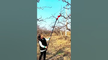 cool farm tool for cutting high tree branches #shorts