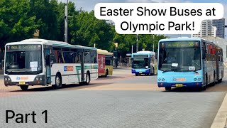 Easter Show Buses at Olympic Park - Part 1 | Bus Vlog #21