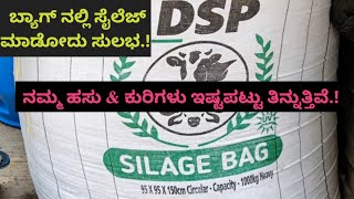 ಬ್ಯಾಗ್ ನಲ್ಲಿ ಸೈಲೆಜ್ ಮಾಡೋದು ಸುಲಭ.! ನಮ್ಮ ಹಸು & ಕುರಿಗಳು ಇಷ್ಟಪಟ್ಟು ಸೈಲೆಜ್ ತಿನ್ನುತ್ತಿವೆ.!DSP Bags Super.!