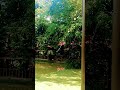 Natures Park Travel Travelvlog Nature Park Relaxing Natures Park Travel Travelvlog Nature Park Relaxing