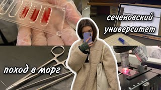 Vlog | trip to the morgue | week of study at medical scool | Sechenov university