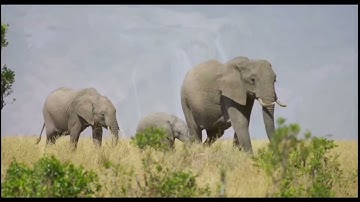 من أجمل التلاوات: تلاوة مرئية لفضيلة القارئ زكرياء بوشيخي رمضان 2023 - 1444