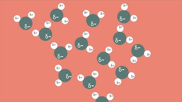 Polar Bonds and Molecules