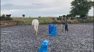 Ad ref 283379 Video 3