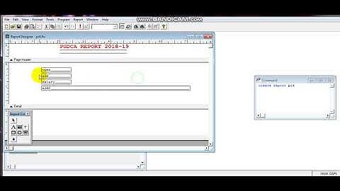 CREATING REPORT IN FOXPRO (IN HINDI)