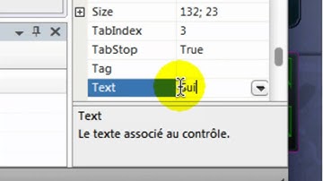 [Tuto Vb.net #5][FR]Créer un Navigateur